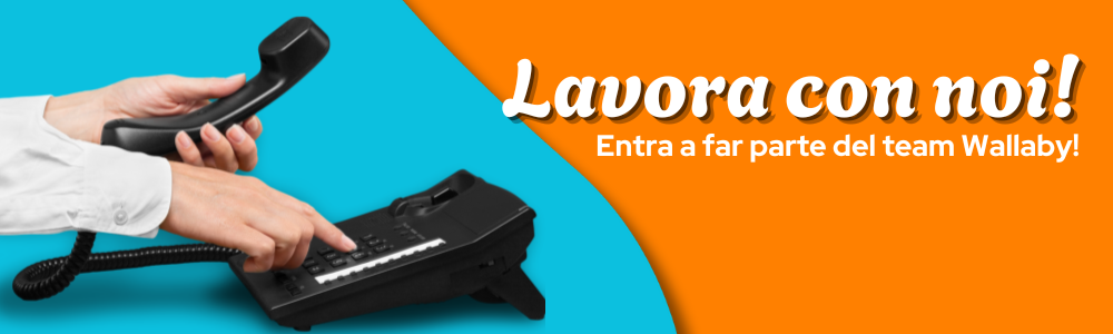 Lavora con noi
